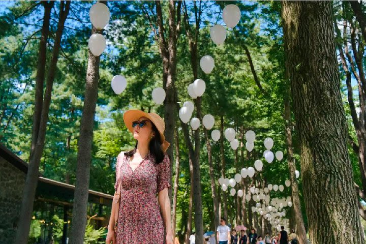 Nami Island Petit France Bus Tour image