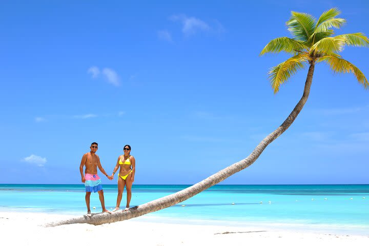 Full Day Excursion to Isla Saona from Punta Cana image