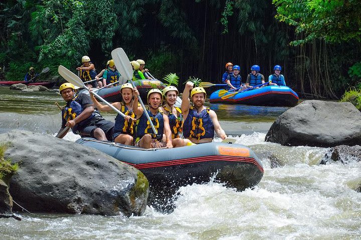 Private Tour in Bali: Bali's Best Water Rafting and Jungle Swing Tour image