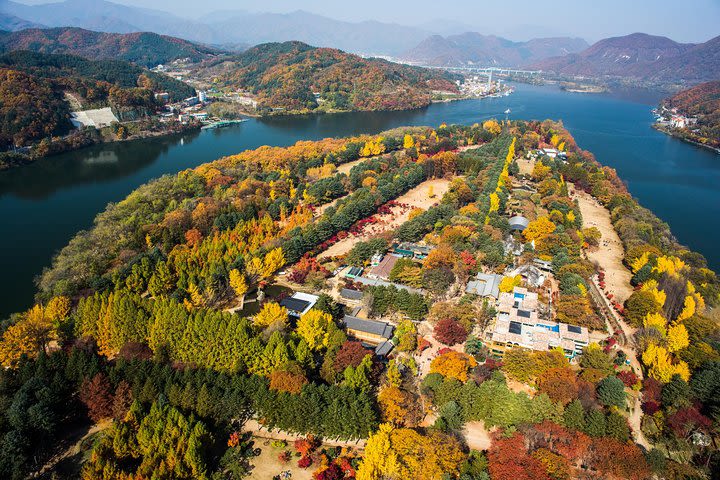 Nami Island & Garden of Morning Calm image