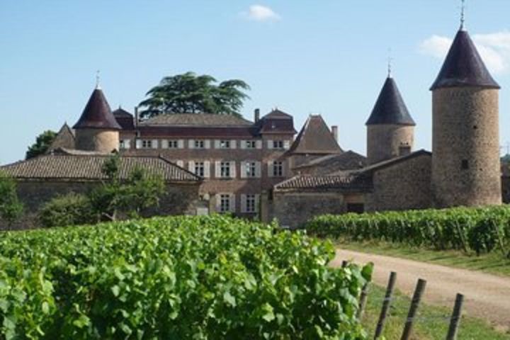 Burgundy Private Castles Tour with Wine Tasting from Lyon image