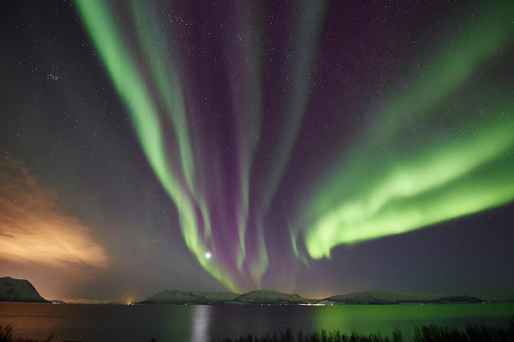 Tromso: Private Aurora Chase by Minivan image