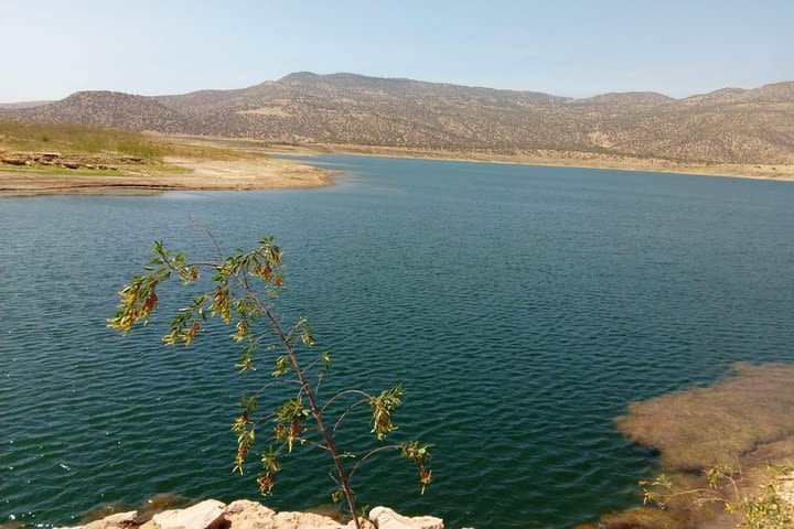 Full day fishing trip in Agadir image