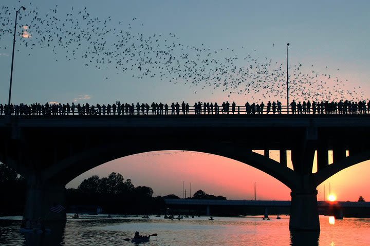 Congress Avenue Bats Bike Tour in Austin image