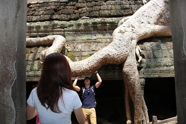 Private Temples and Local Village from Siem Reap image