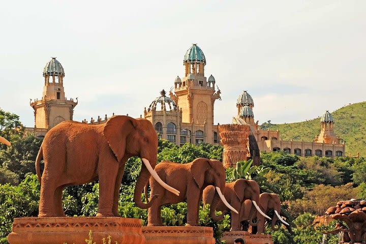 Pilanesberg and Sun City Tour  image