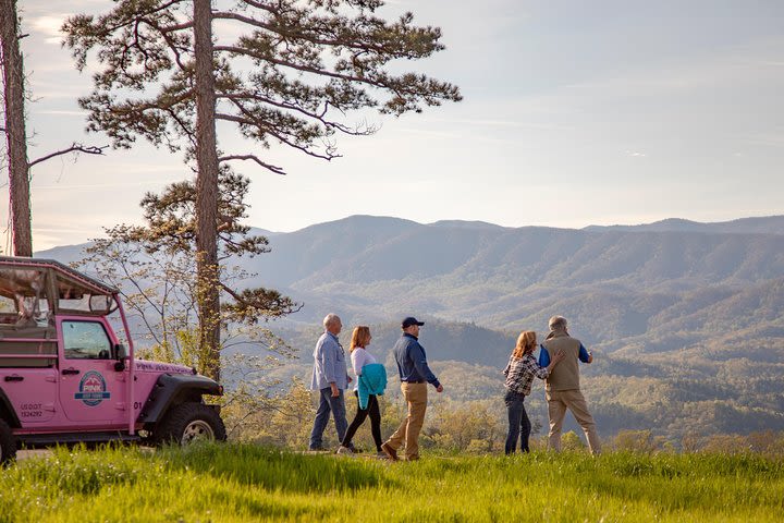 Foothills Parkway Tour by Open-Air Jeep image