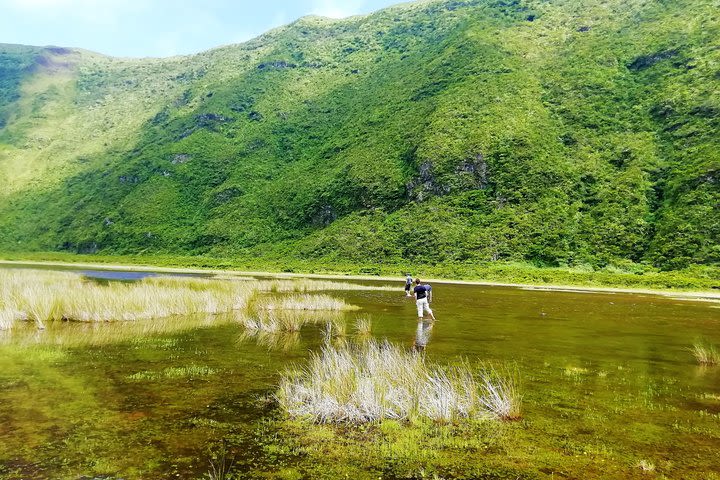 Walk - Descent of Caldeira do Faial image