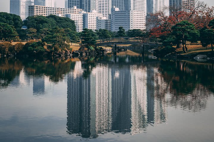 Introductory Tokyo Tour for the first timers: learn basic Travel tips and tricks image