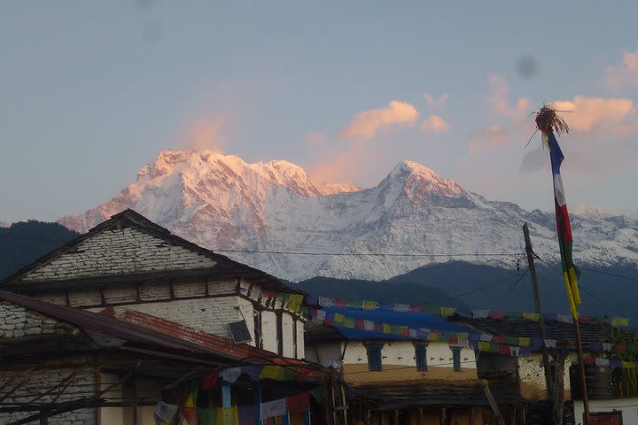 Ghorepani Poon Hill Trek image