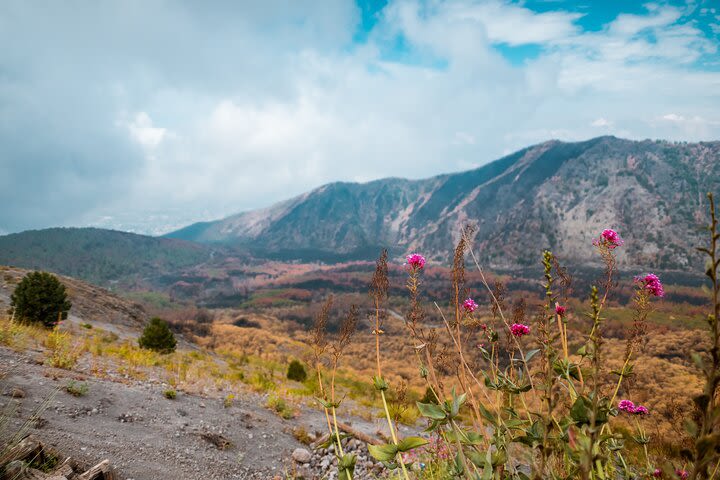 Visit Pompeii, Vesuvius and taste wine on the slopes of the "Gran Cone"! image