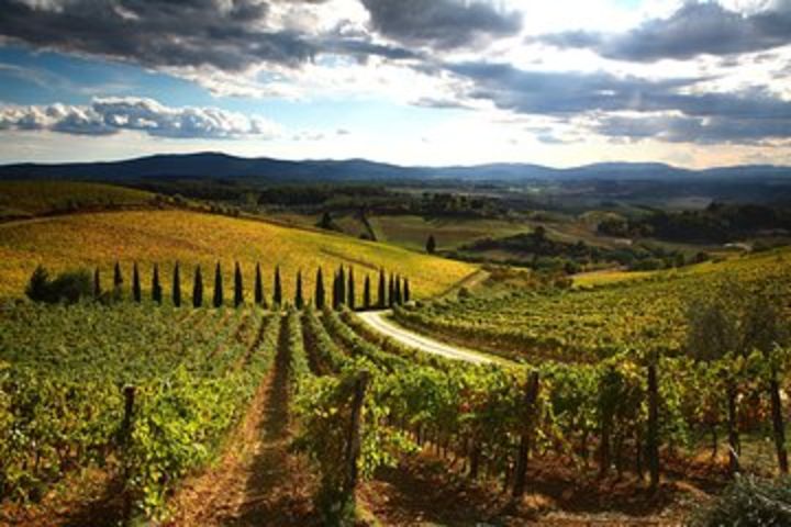 Private Tour: Guided Hike in Tuscany with Transport from Siena image