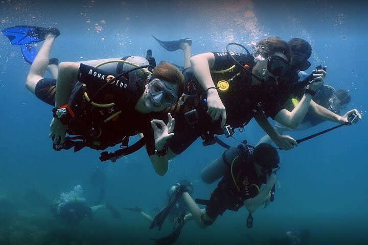 Scuba Diving Activity in Dibba Al Fujairah image