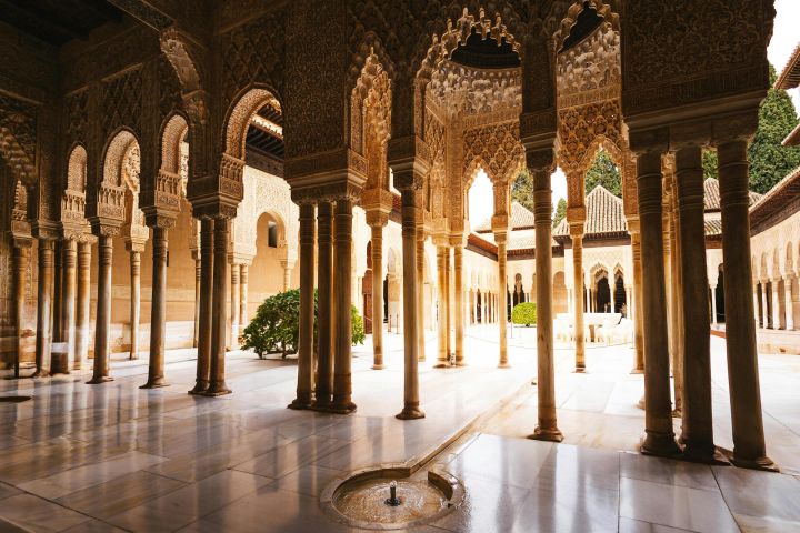 Alhambra Palace Guided Tour image