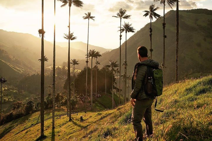 Cocora and waterfalls tour image