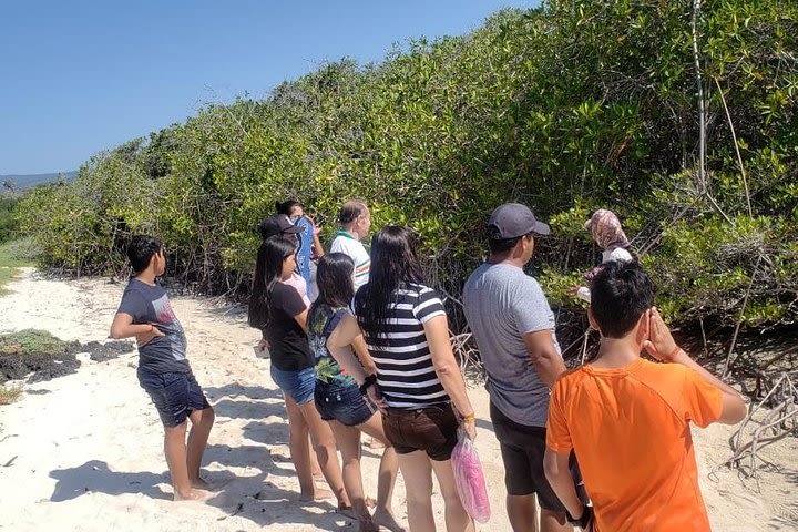 Charles Darwin Station & Tortuga Bay Beach Day Tour with Lunch  image