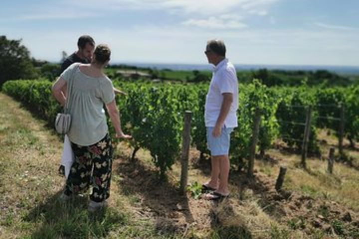 Beaujolais Region Vineyard Day Tour with Wine Tasting from Lyon  image