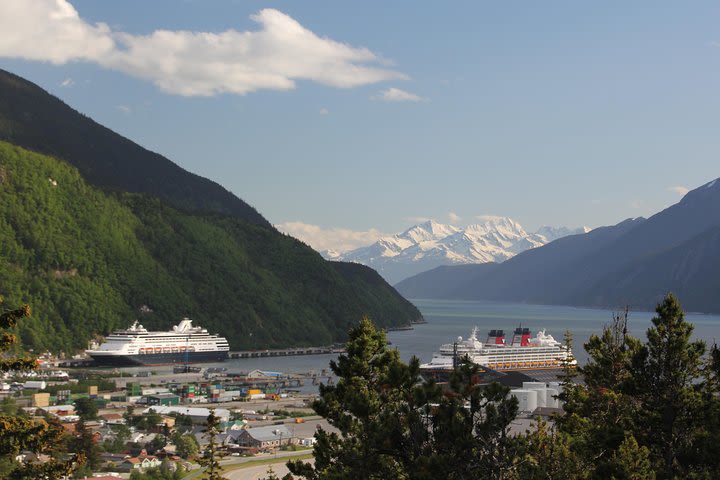 City and Mountain Summit Shore Excursion in Skagway image