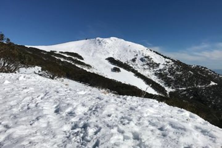 Mount Buller Snow Day Trip image