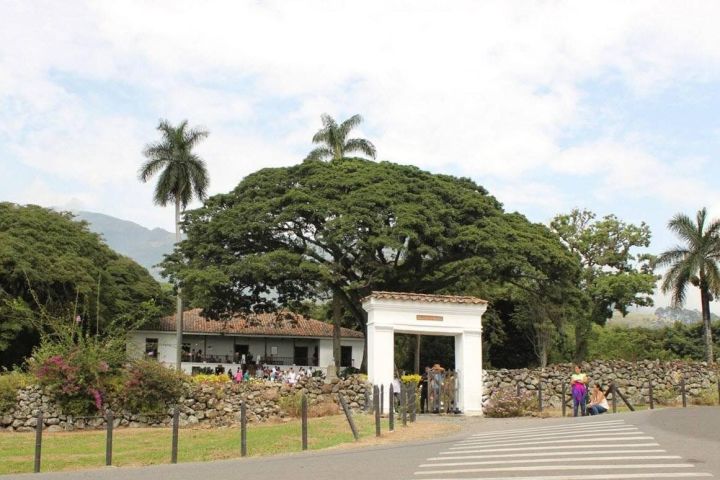 Sugar Cane Hacienda El Paraíso Nature Tour image