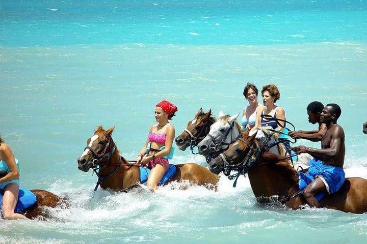 Ocho Rios Action Pack Water Excursion (Blue Hole, Tubing & Horseback Riding) image