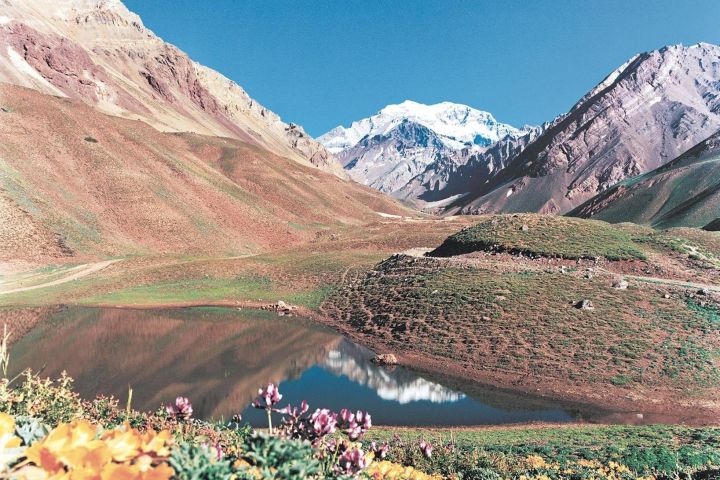 High Andes Wonders Tour from Mendoza image