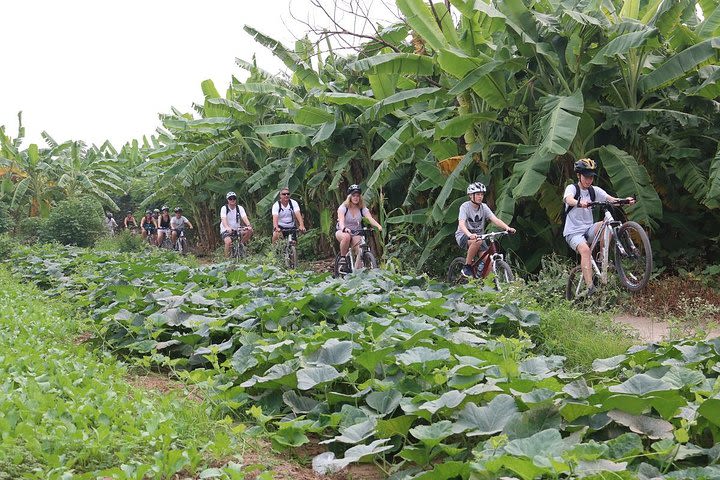 Half-Day Bicycle Tour of Hanoi City and Countryside image