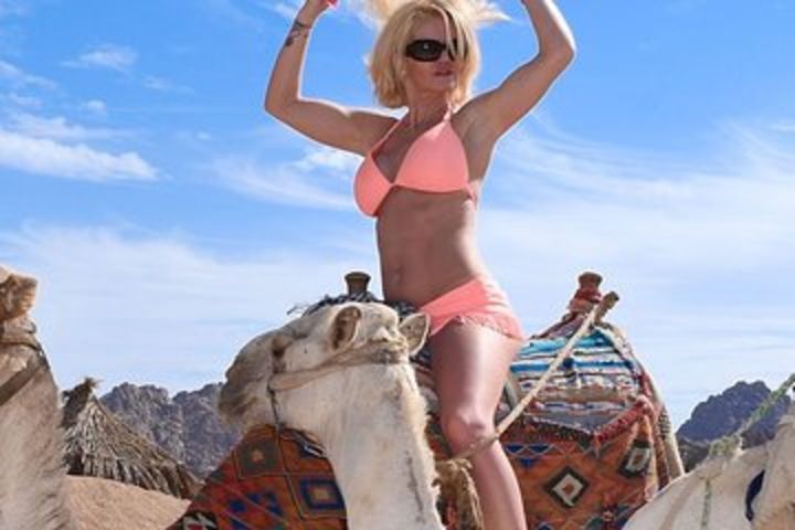 Two hours Camel Riding At Amazing Desert And sea - Hurghada image