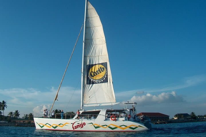 Anguilla Day Trip from St Maarten: Catamaran Sail to Shoal Bay image