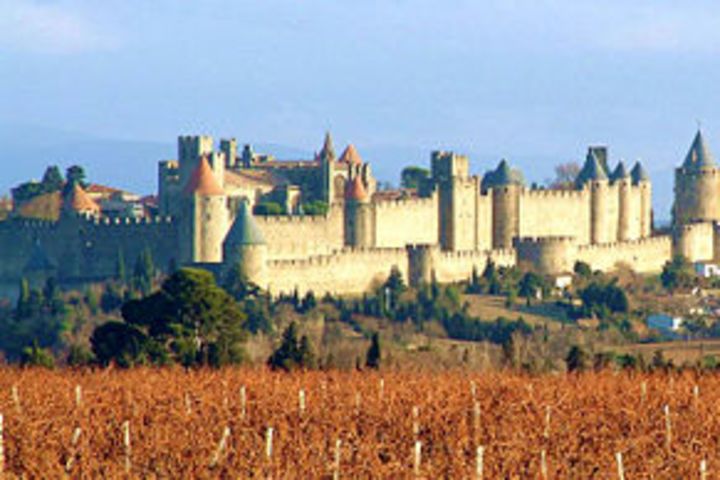 Carcassonne Guided Walking Tour (private) image