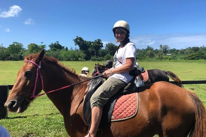 Horse Riding in Port Vila with Yumi Tours image