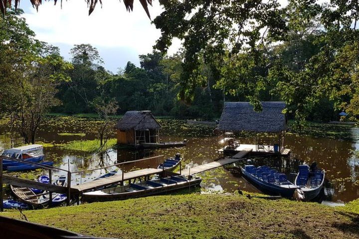 3 Day Iquitos Jungle Adventure at Muyuna Lodge image