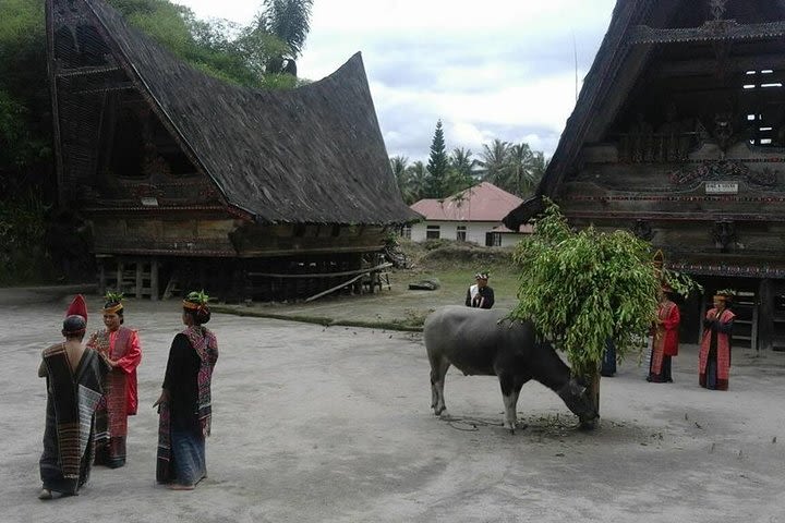 6 Day North Sumatra Highlights - Jungles Orangutans Lakes and Volcanoes image