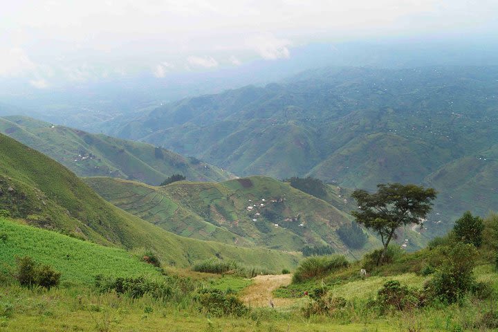 Hiking in the Lower Rwenzori Mountains image