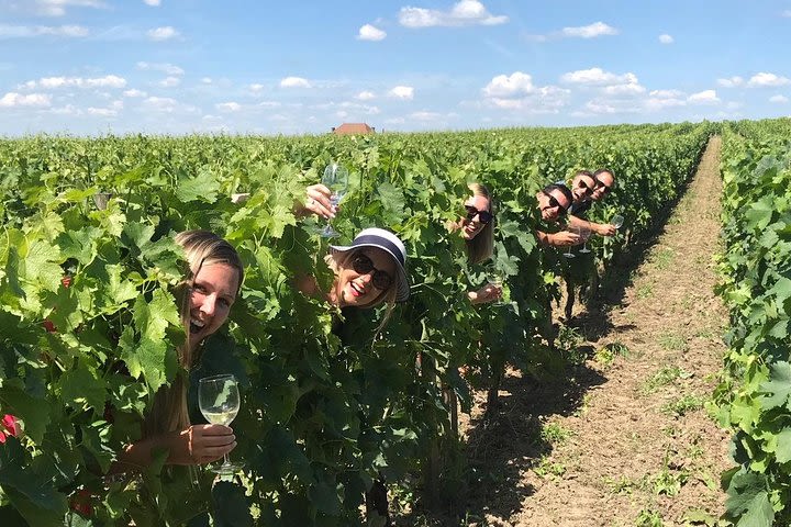 Saint-Emilion Wine Region Morning Tour with Tastings & Local Guide image