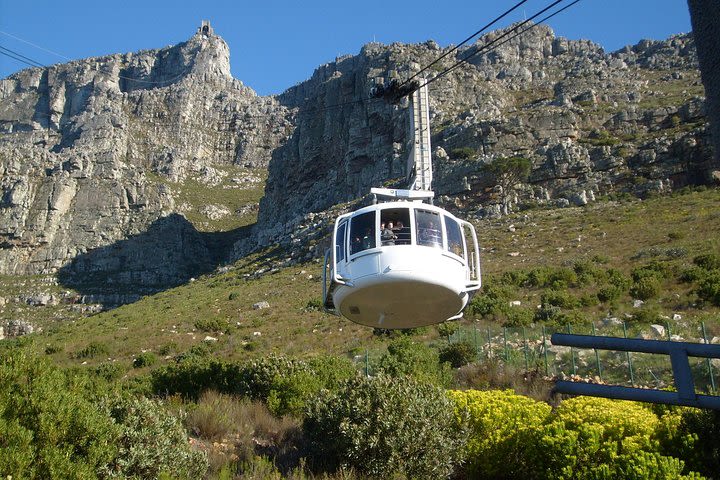 Half day City & Table Mountain Tour image