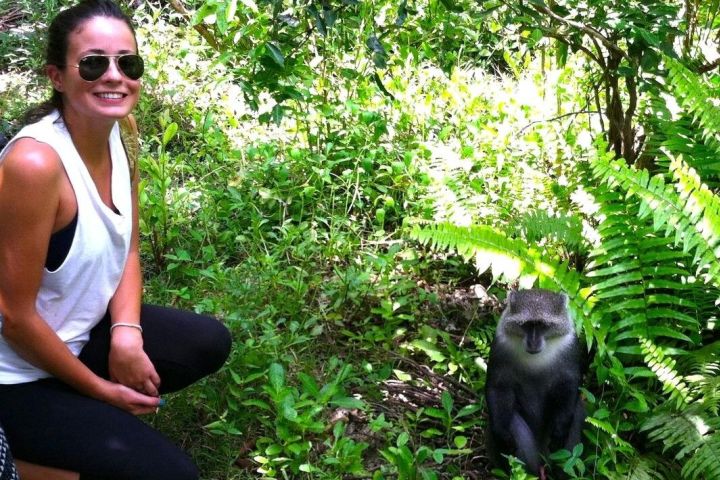 Jozani Forest & Dolphin Swimming Tour image