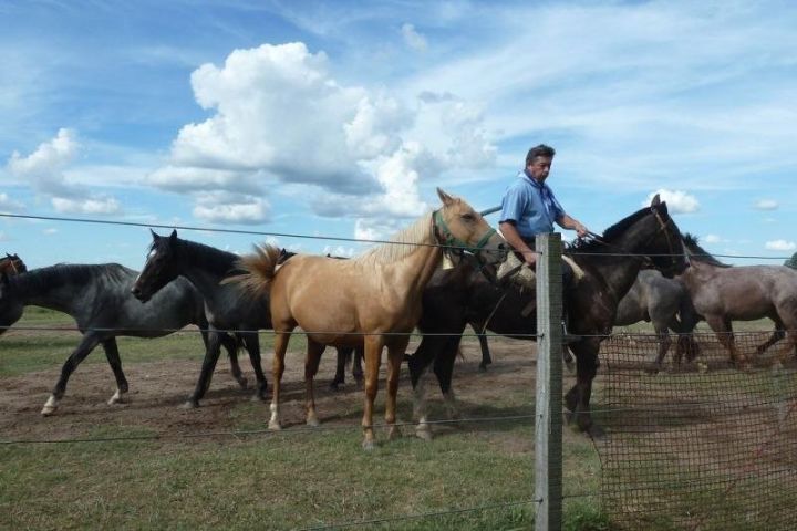 Fiesta Gaucha en Estancia - Day Ranch Gaucho Barbeque  image