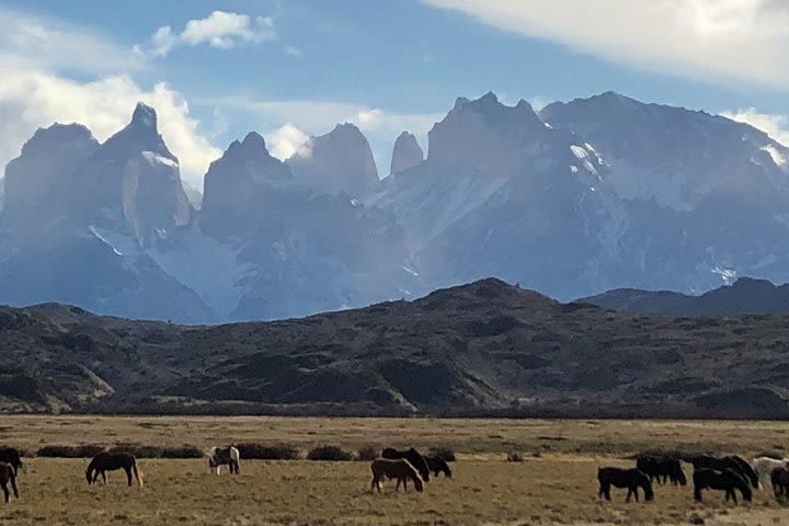 FULL DAY Torres del Payne from Puerto Natales image