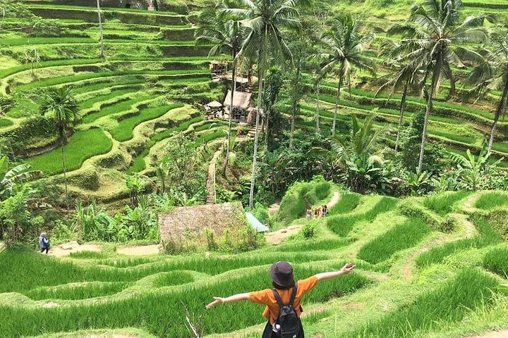 Private 3 Days Best Bali Tour Package image