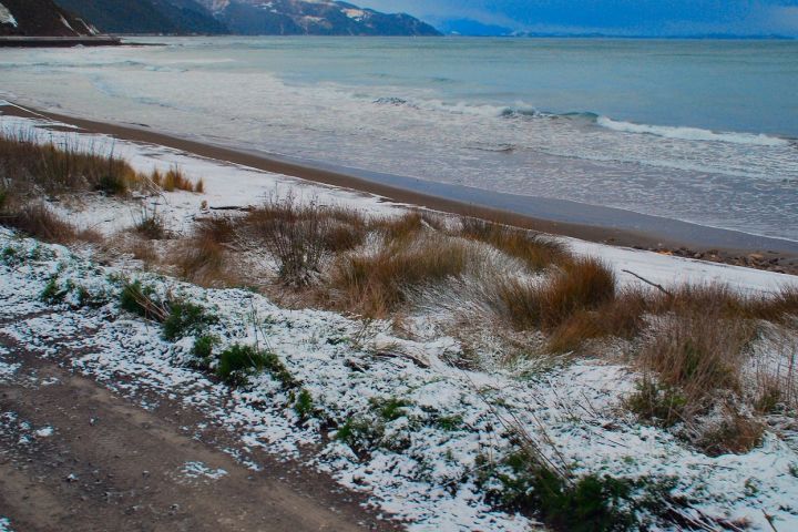 Coastal Pacific Journey - Picton to Christchurch by Train image