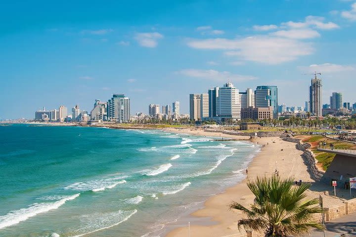 Full-Day Tel Aviv City Tour image