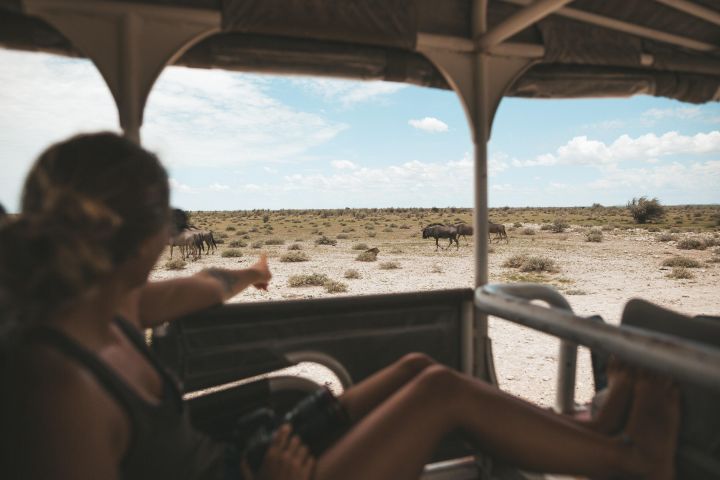 3-Day Etosha National Park Safari image