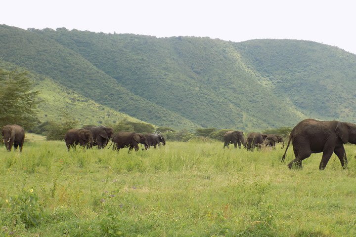 6 Days Tanzania Wildlife Safari Tour image