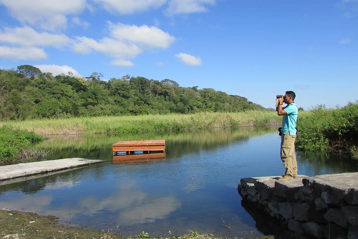 Bird Watching Tour image