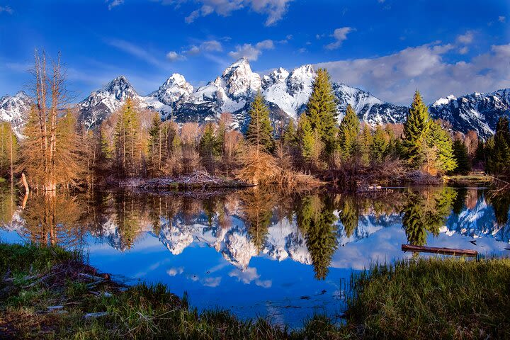 Private 2-Day Yellowstone Tour - Upper and Lower Loop image