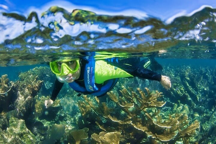 Nizuc Reef Snorkel Experience image