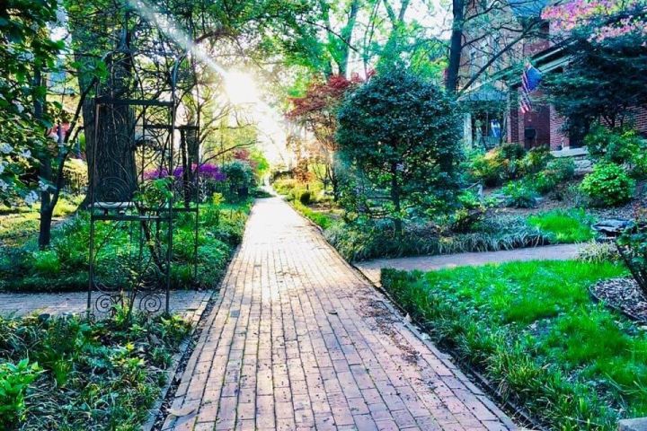 Historic Old Louisville Walking Tour image