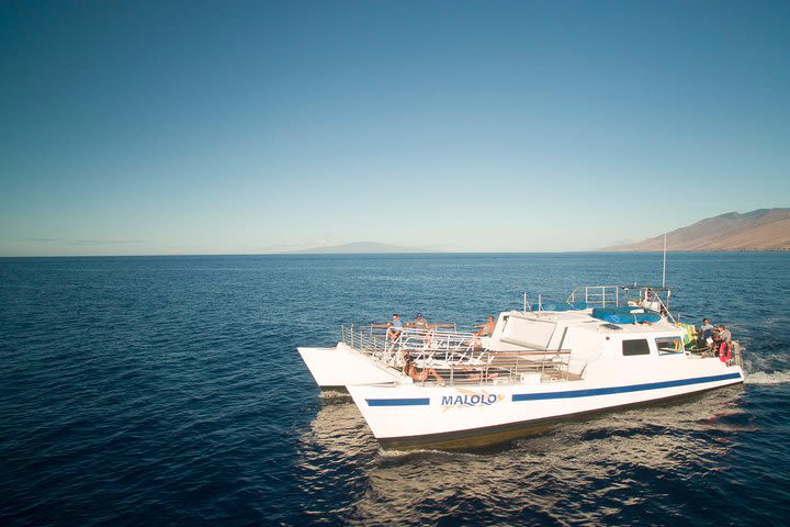 Molokini and Turtle Town Snorkeling Adventure Aboard Malolo from Ma'alaea Harbor image