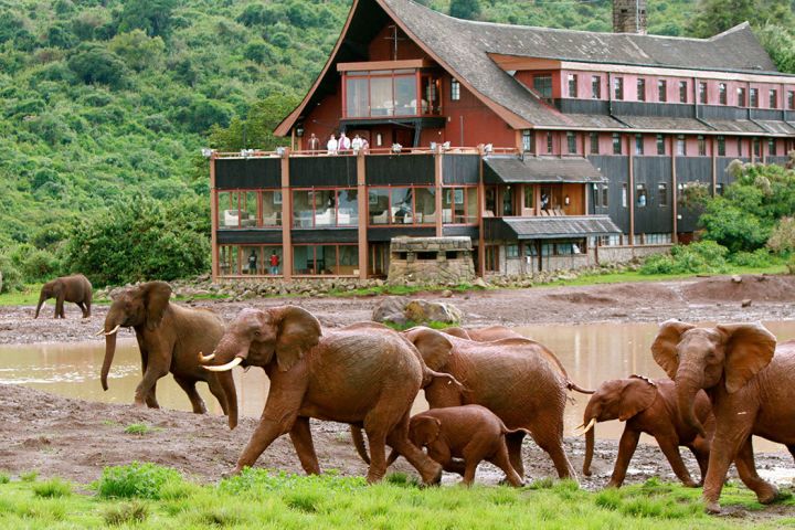 3 Days Aberdares Safari image